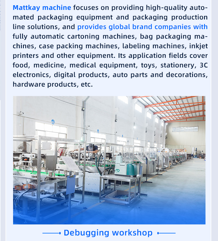 Disorderly material sorting and 150 model horizontal box packing machine插图11